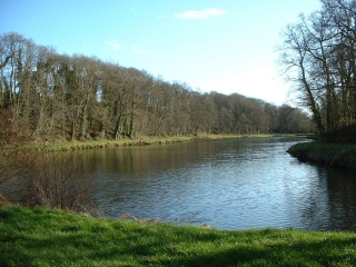ETANG DU BOIS JOLI SUR LE FREMUR-cotes-d-armor