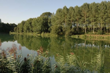 ETANG DU BOIS JOLI SUR LE FREMUR-cotes-d-armor