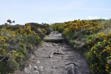 ERQUY - LE CAP LA LANDE-cotes-d-armor