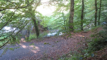 PLOUGUENAST- CIRCUIT DE GUETTE ES LIEVRES-cotes-d-armor