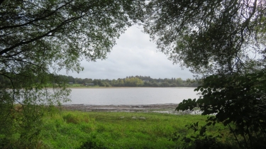 GLOMEL - AUTOUR DE L ETANG DU KORONG-cotes-d-armor