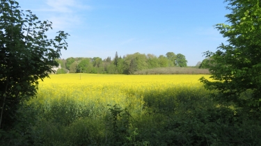 SAINT-SAMSON-SUR-RANCE - BALADE SAMSONNAISE-cotes-d-armor