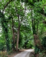 PLENEUF-VAL-ANDRE - PROMENADE DU GOLF-cotes-d-armor