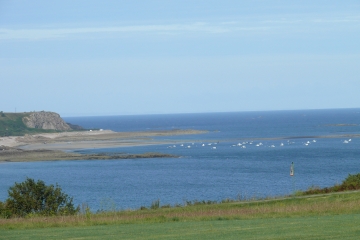 SABLES D OR LES PINS (1)-cotes-d-armor