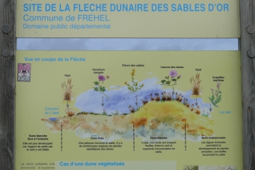 SABLES D OR LES PINS (1)-cotes-d-armor