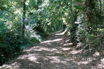 SABLES DOR LES PINS (2)-cotes-d-armor