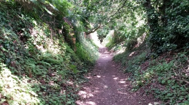 PAIMPOL - POINTE DE L ARCOUEST-cotes-d-armor