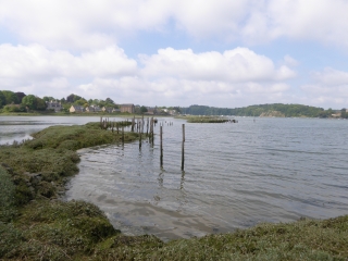 PLEUDIHEN-SUR-RANCE (2)-cotes-d-armor