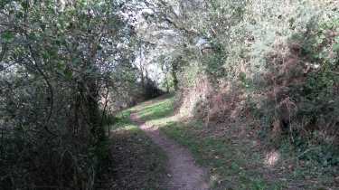 PLEBOULLE - ST-EFFICACE-cotes-d-armor