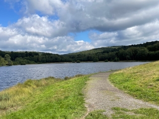 millevaches-en-limousin - LE BOIS DE LA RAME- LA COURTINE