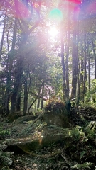 SAVENNES-creuse