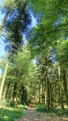 LES CIMES-creuse