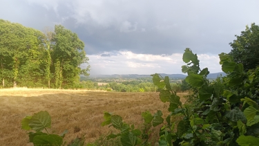 BOIS DE CHARDET-creuse