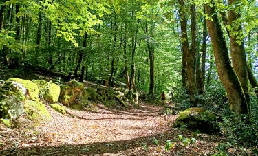 REILLAT