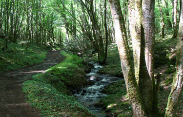 Boucle de Saint Martin-dordogne