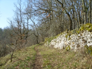 PAUSSAC-ET-SAINT-VIVIEN-dordogne