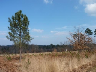 ST-GEORGES-DE-BLANCANEIX-dordogne