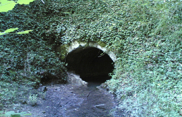 Boucle de la Croix du Rat -dordogne