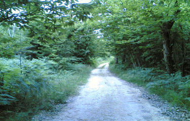 Boucle de la Croix du Rat -dordogne