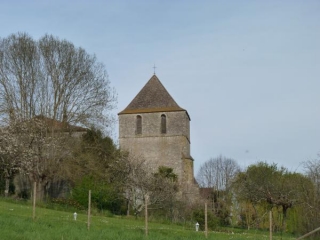 BOIS DE SAINT-MEARD-DE-GURCON-dordogne