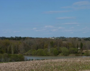 BOIS DE SAINT-MEARD-DE-GURCON-dordogne