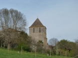 BOIS DE SAINT-MEARD-DE-GURCON-dordogne