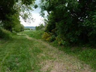 PORT-SAINTE-FOY-dordogne