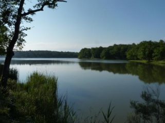 LE PARCOT - ETANG DE LA JEMAYE-dordogne