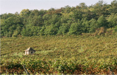 Autour de Fleix.-dordogne