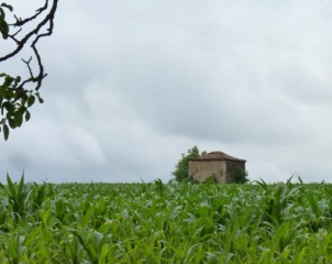 BEAUMONT-DU-PERIGORD (4)-dordogne