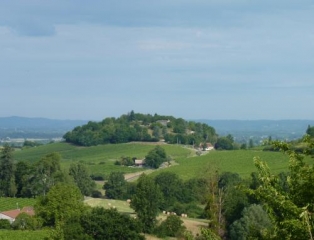 TERTRE DE MONCUQ-dordogne