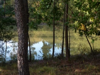 SAINT-BARTHELEMY-DE-BELLEGARDE (2)-dordogne