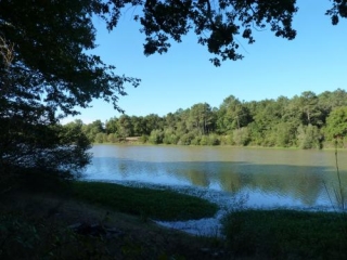 SAINT-LAURENT-DES-HOMMES-dordogne