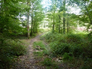 EYGURANDE-GARDEDEUIL-dordogne