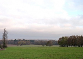 EN FORET A BEAUPOUYET (2)-dordogne