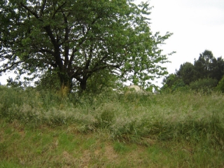 LES LECHES - BOURGNAC-dordogne