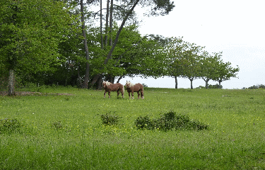 SAINT-JEAN-D EYRAUD-dordogne