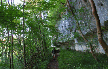 BORDS DE LA VEZERE-dordogne