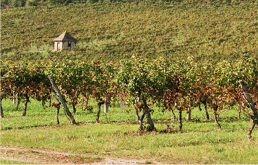 Canton de La Force-dordogne