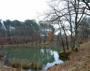 MONTPON-MENESTEROL - RANDONNEE DU BOIS DES MACONS-dordogne