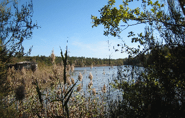 Grand Etang de la Jamaye-dordogne