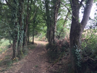 MONCALOU - FLORIMONT-GAUMIER-dordogne