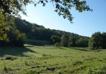 BOURGNAC ET SES BOIS AU SUD-dordogne