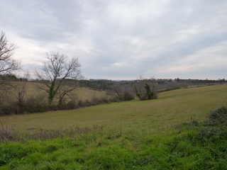 HAMEAU DE STE-FOY-DES-VIGNES  COMMUNE DE GINESTET-dordogne
