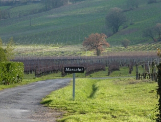OUEST DE ST-LAURENT-DES-VIGNES-dordogne