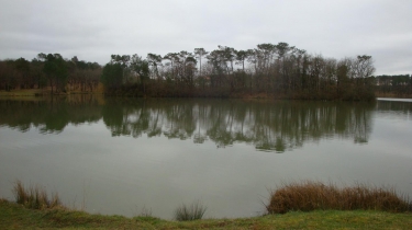 GURSON ET COMPAGNIES-dordogne