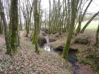 GINESTET- BOUCLE DU TRESORIER -dordogne