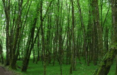 BOUCLE DE LA GROTTE-dordogne