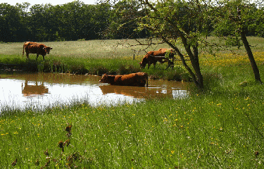 BOUCLE CHAPELLE SAINT JEAN-dordogne
