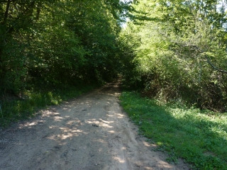 SAINT-SAUVEUR - EST DU VILLAGE-dordogne